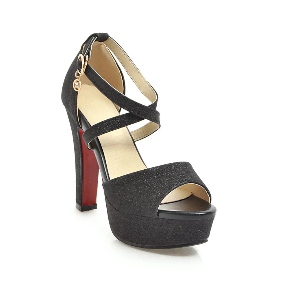 Black high-heeled shoe on a white background